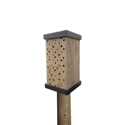 BEEPOST Bee Hotel