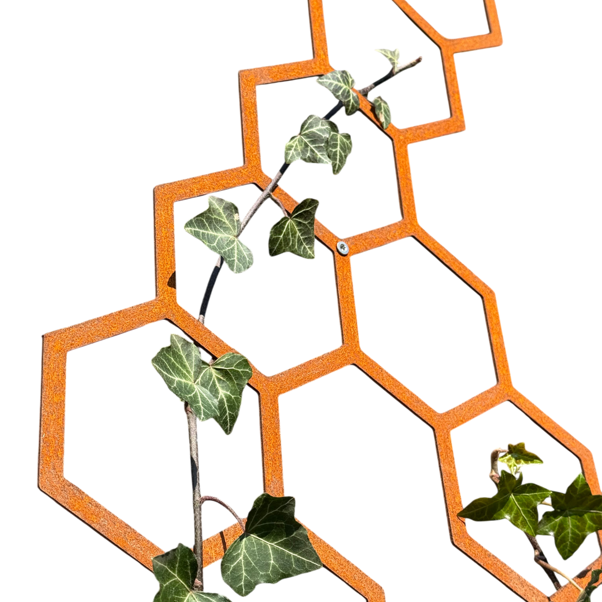 Klimplantrek HIVE van cortenstaal met hexagon motief voor klimplanten aan de buitenmuur