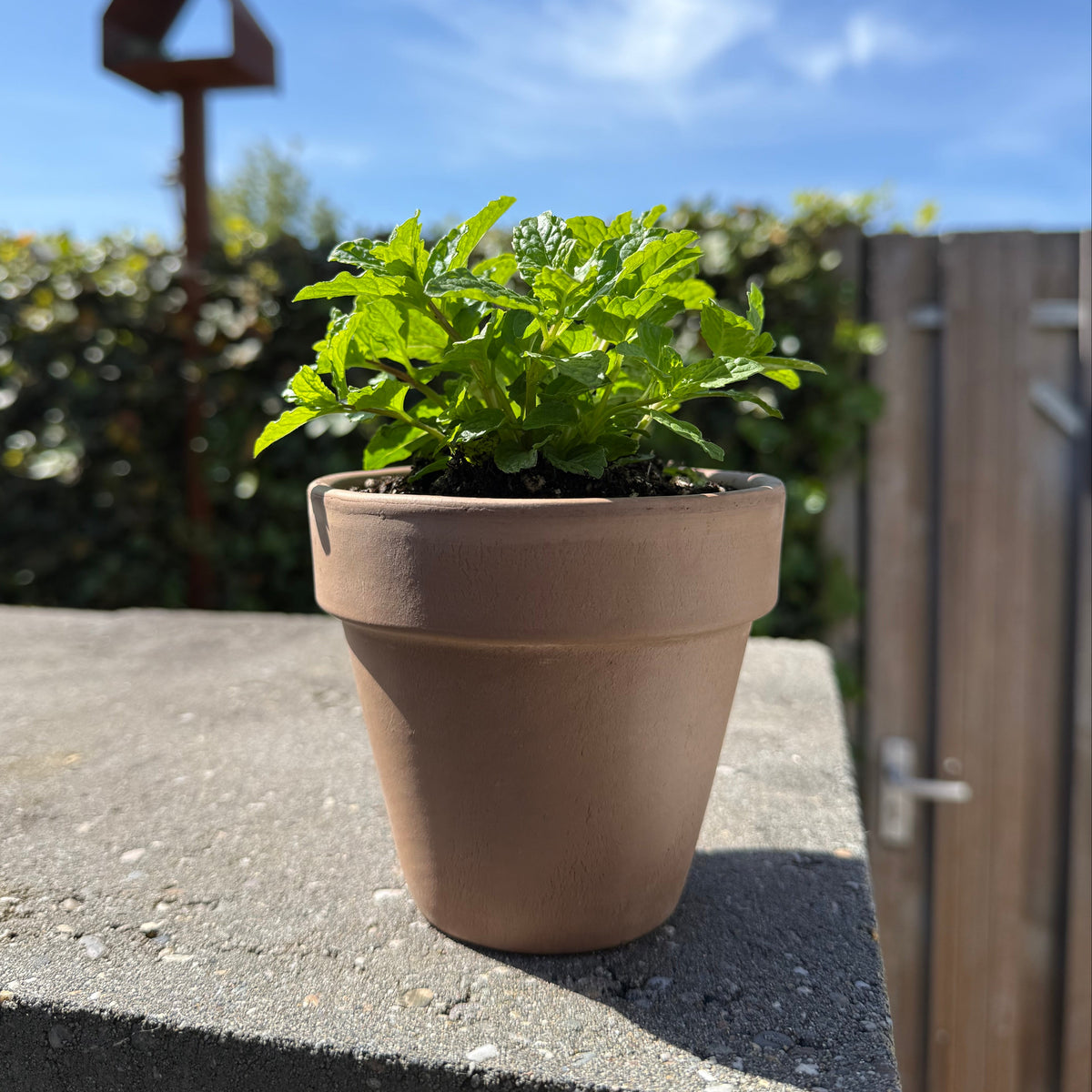 Pot de fleurs OUTSIDE