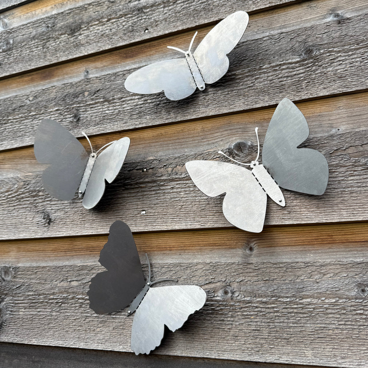 Tuinvorm BUTTERFLIES – set van 4 cortenstalen vlinders voor wandmontage