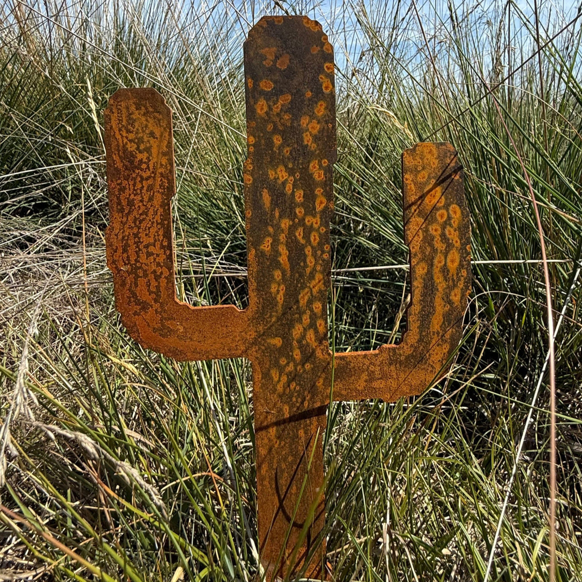Tuinsteker CACCTUSS – cortenstalen plant cactus voor in de tuin