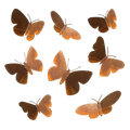 Gartenform BUTTERFAM
