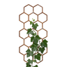 HEXON climbing plant trellis