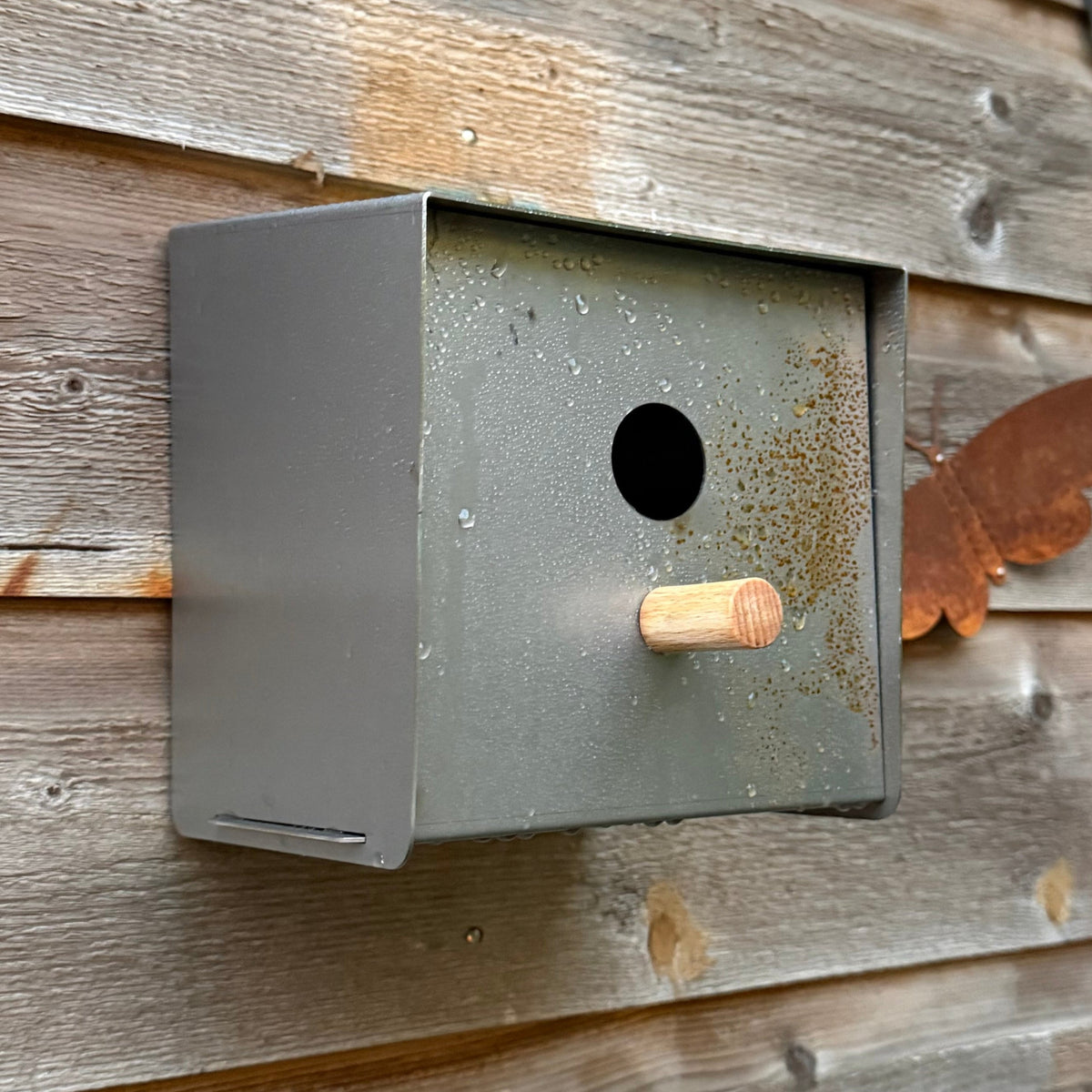 Vogelhuis CLOUDNEST – wandvogelhuisje met 3 cm invlieggat