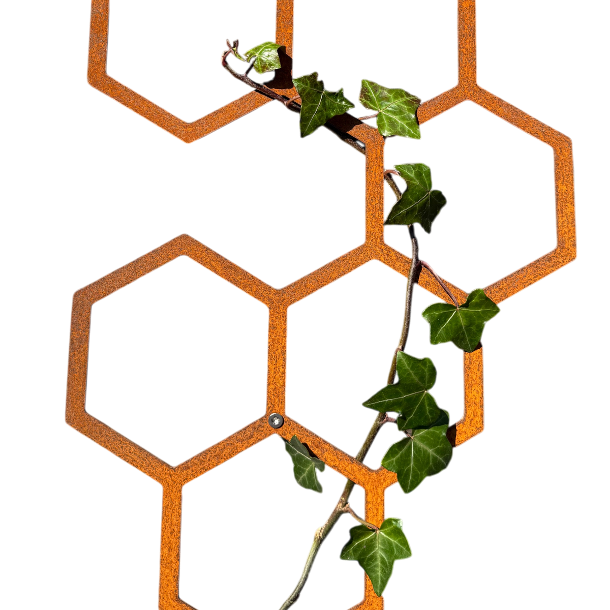 Klimplantrek HEXA van cortenstaal met hexagon motief voor klimplanten aan de buitenmuur