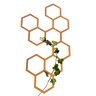 HEXA climbing plant trellis