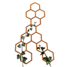 HIVE climbing plant trellis