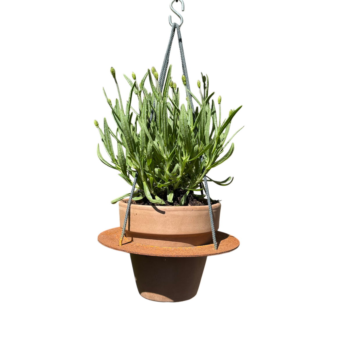 Bloempot OCRE
