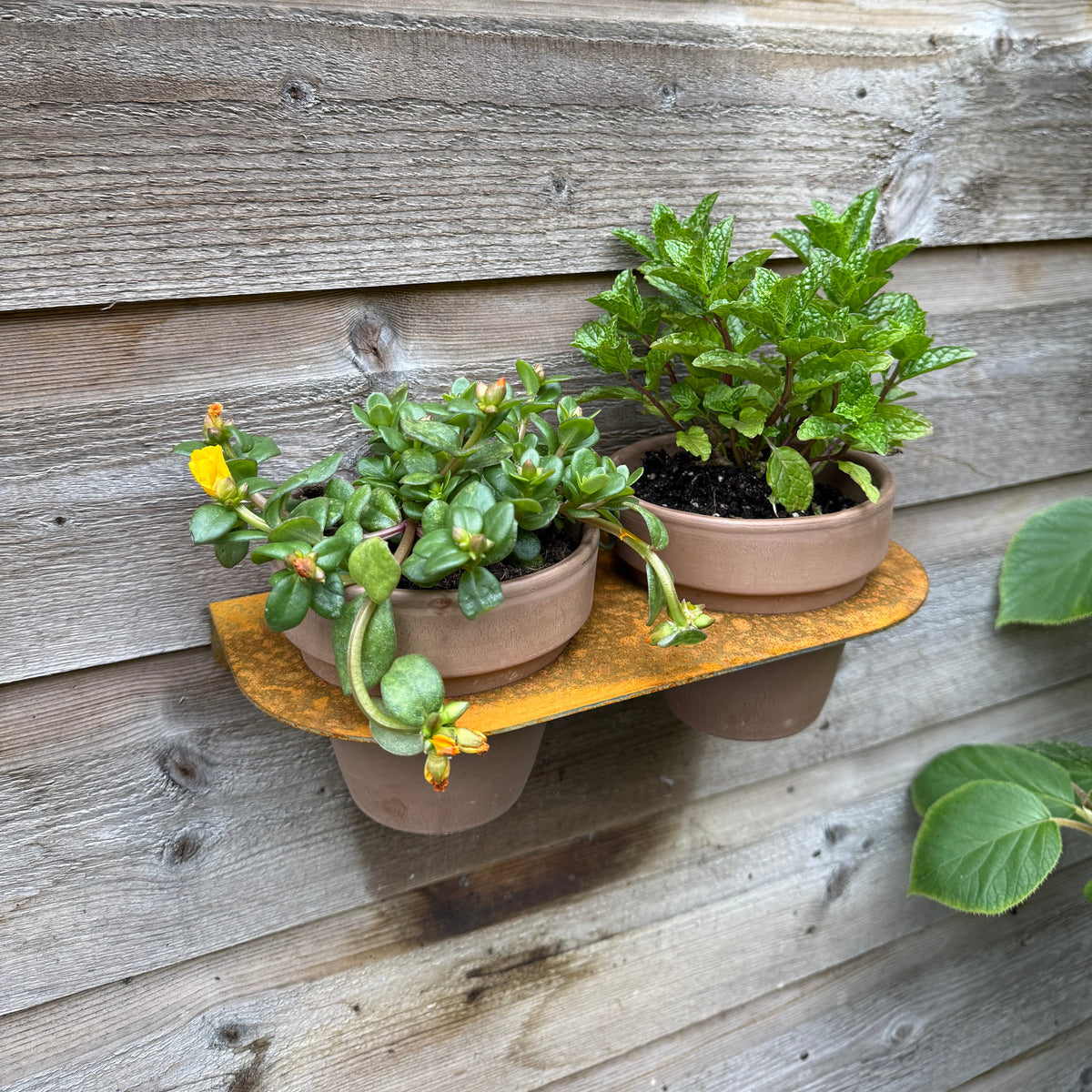 Bloempot DUO