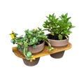 Pot de fleurs DUO