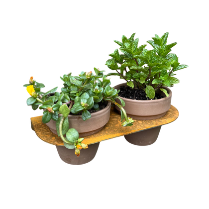 Pot de fleurs DUO
