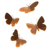 Gartenform BUTTERFLIES
