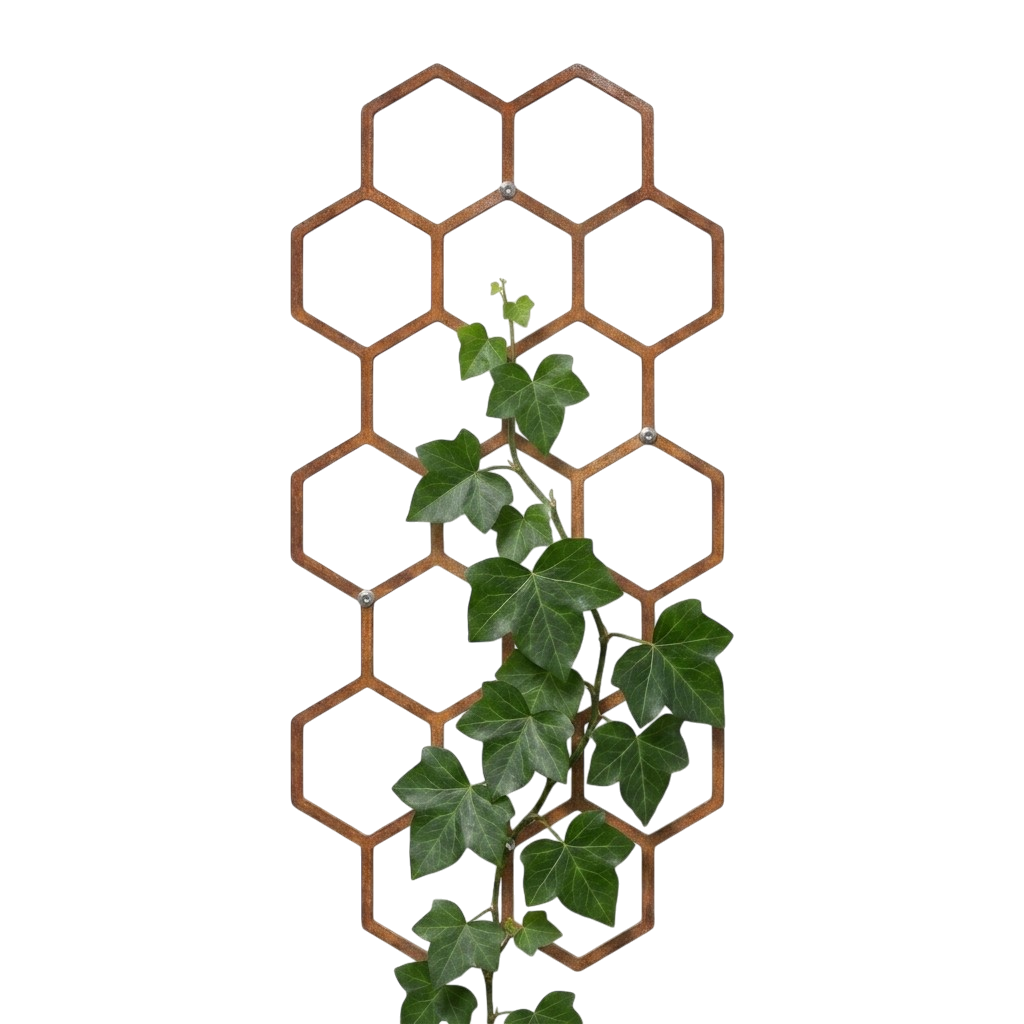 Cortenstalen klimrek HEXON voor klimplanten tegen de wand